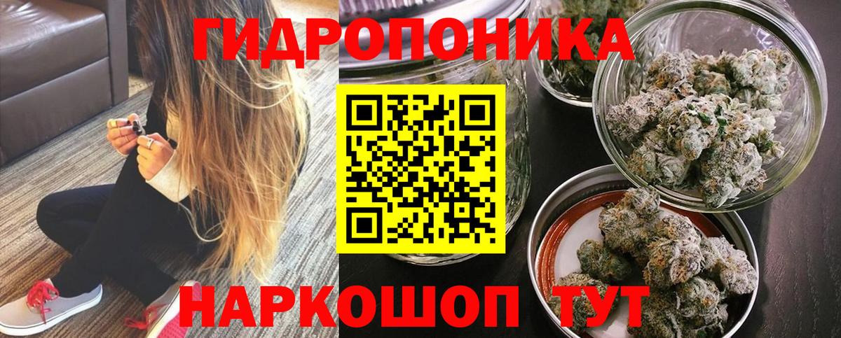 Галлюциногенные грибы Кострома